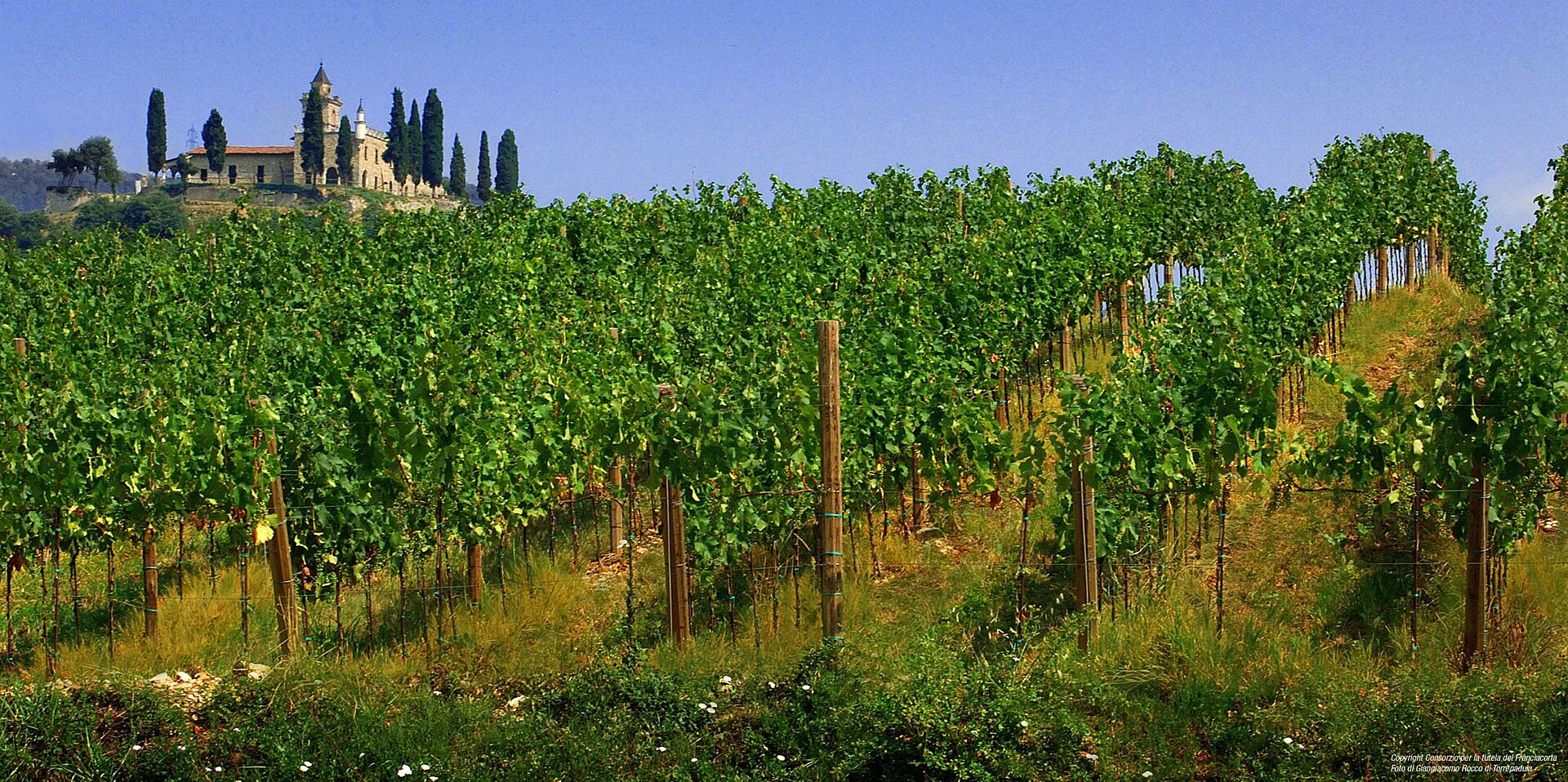 Weinberge in der Franciacorta